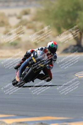 media/May-14-2023-SoCal Trackdays (Sun) [[024eb53b40]]/Turn 5 Tree of Life (1125am)/